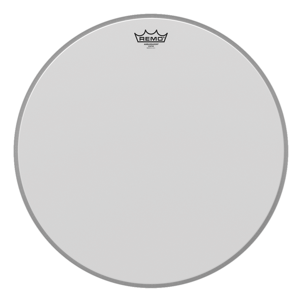 Remo - Parche Ambassador Aspero Mod.BR-11__-00